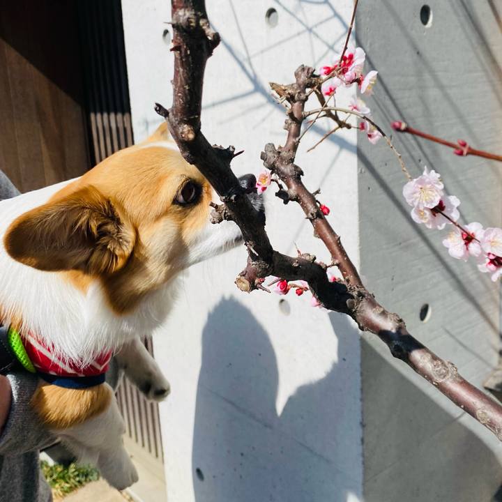 049947f0 19e1 45da a671 c90ecb605ada 1646486243762