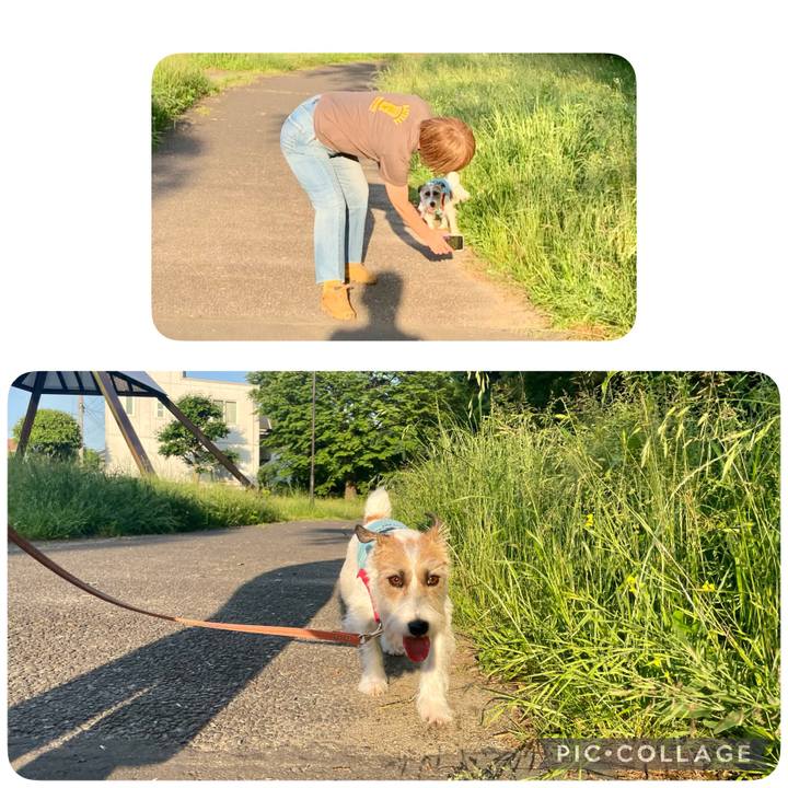 049973fb b27b 4aff a049 7081d7f06150 1653754428118