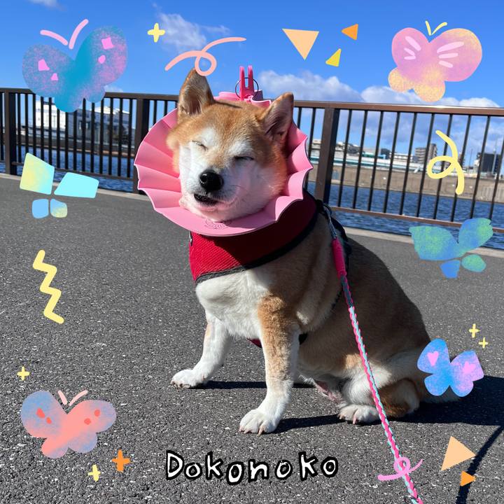 04998f06 fc43 41df 83e0 d7c8b67239a5 1711195095266