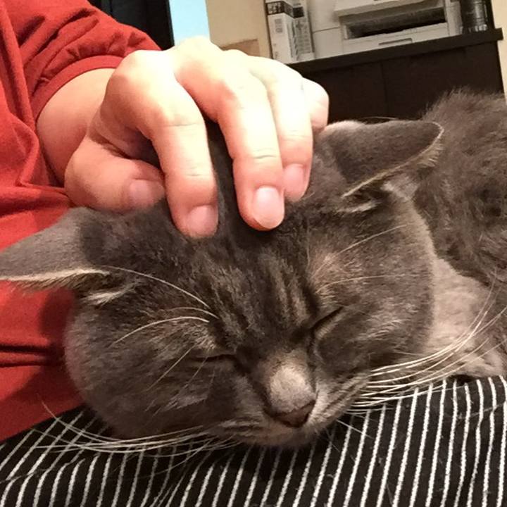 0499979e 6ff3 4cbc a61b 5639510e4d21 1549150321899