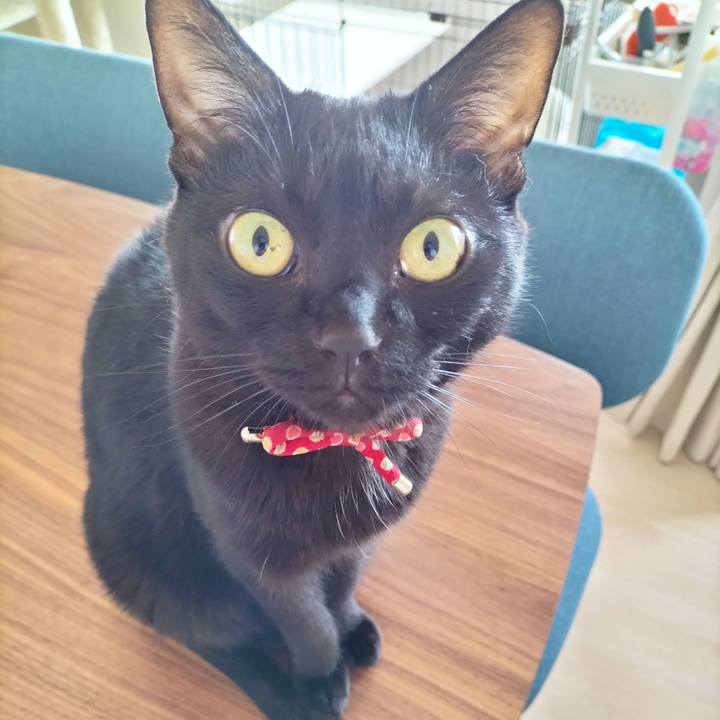 0499d7df 5df7 4b56 b9a8 0512788000f7 1686609610075