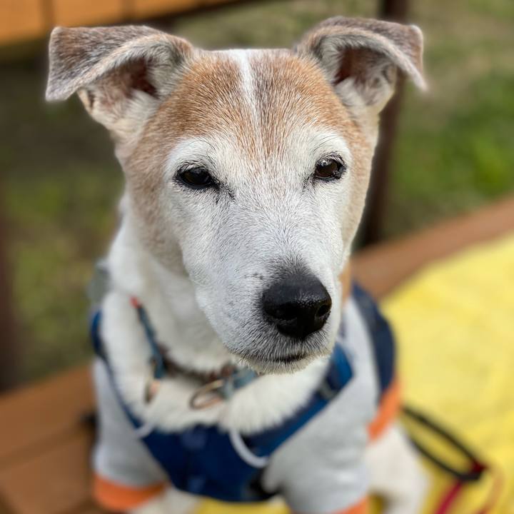 0499db3b f2d6 40b0 9f3d 832f4e431e1a 1638691982946