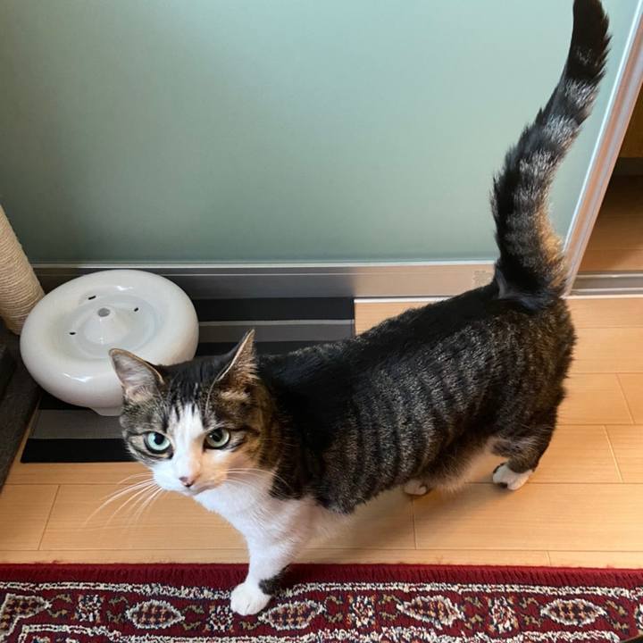 0499dfc9 6512 4071 8485 42593da386d1 1626234028900