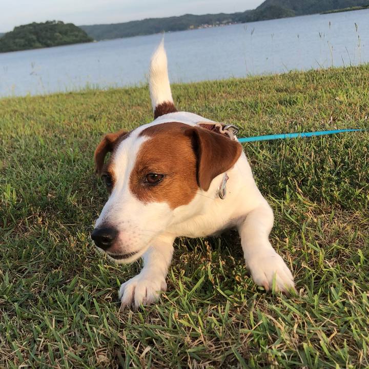 049a29a8 f990 478f a0b3 51efd4a2d0b1 1565650405069