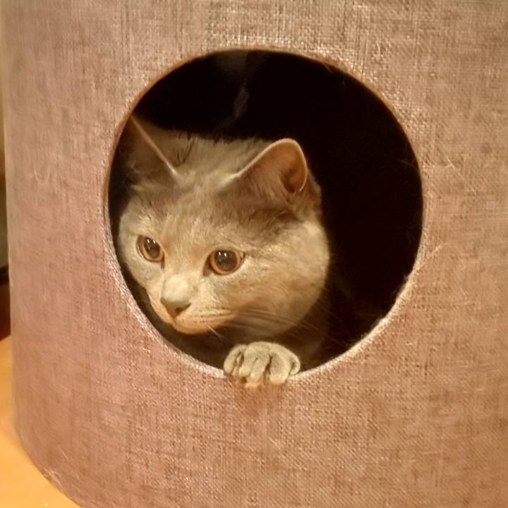 049a3d0d 9112 4e22 a395 6e18831c6c7a 1583133839871