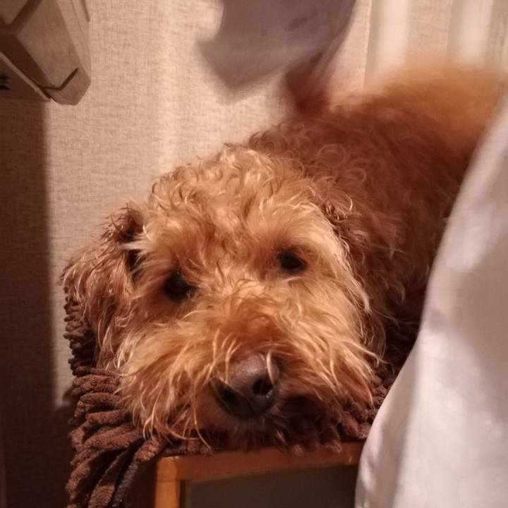 049a4a69 90bf 443d 81b7 2ff150eb257e 1534975926280