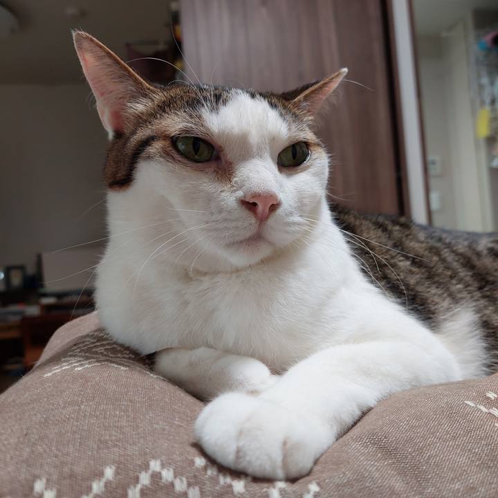 049a8296 9ccf 43bb bcc6 a04365372de5 1657060765146