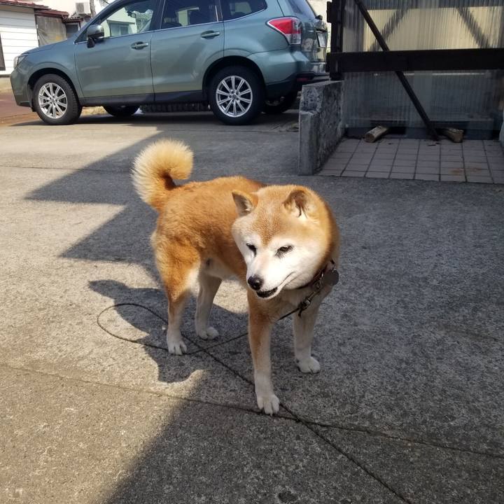 049a840c 0511 4a79 bc8e 450a05ff8412 1742691312026