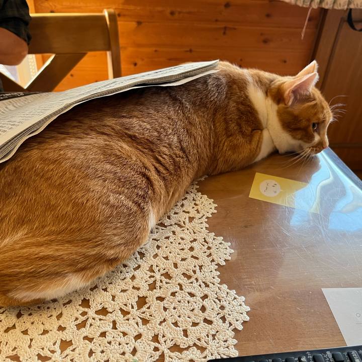 049a90f8 85c3 47ca a032 41796f40a2fc 1684272026025