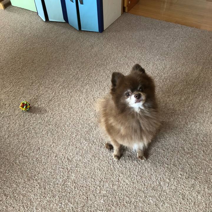 049a97e1 cfca 4249 a29f 77c52c33749a 1574312175289