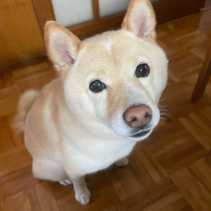 049abee7 f499 4bef 8037 997621be9ad0 1686608158032