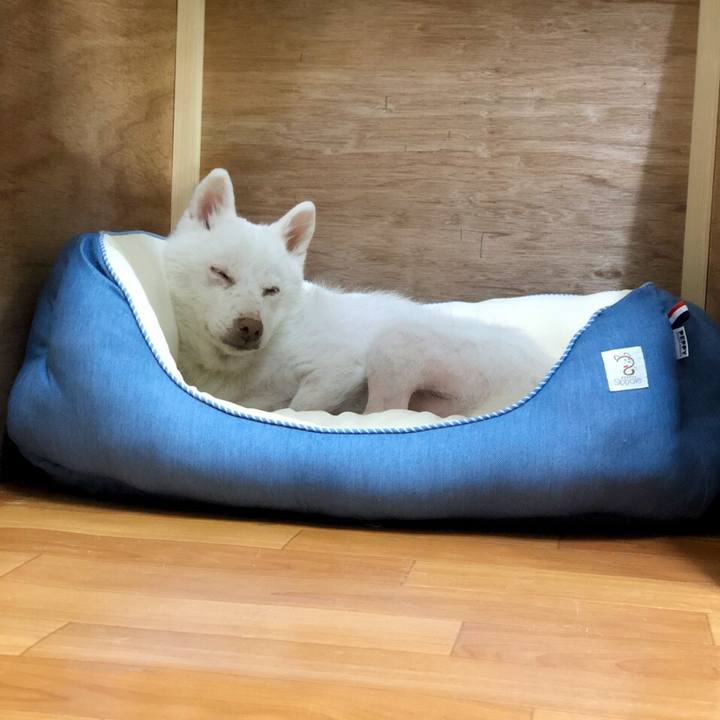 049ad539 1574 4e84 b9ff 7128f31afa69 1572612700043