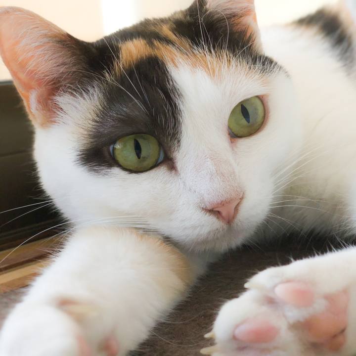 049aec1f f868 4b9c 8dba 948089153752 1568426745350