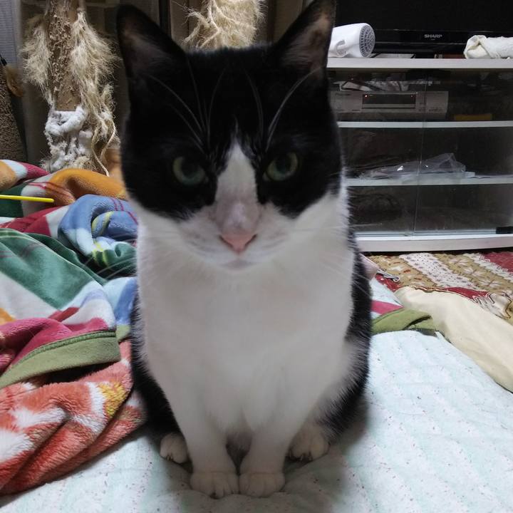 049b0c34 0efa 495a 9ee4 b087cf0316a7 1556533617279