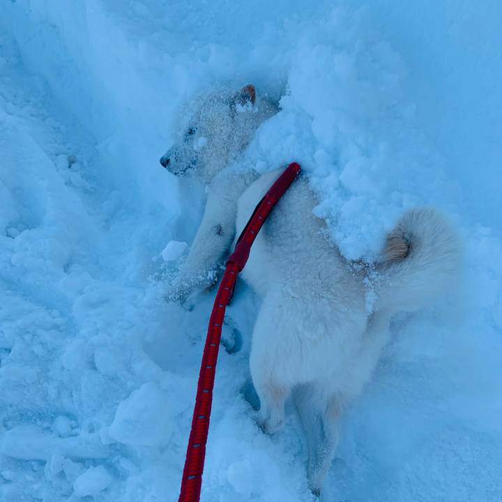 049b3e4e 43b0 4fdd 894c 40f9995257cc 1641817790507