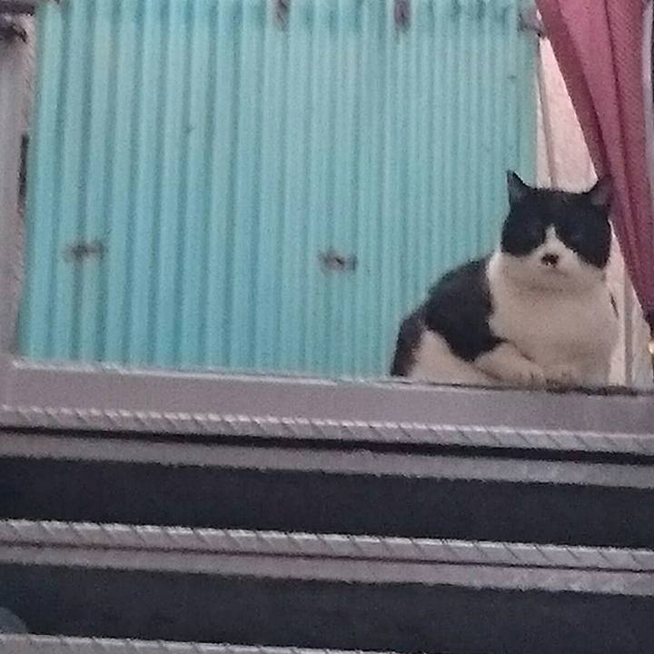 049b7e44 31dc 4043 8d3d 1a75d394713c 1516247327111