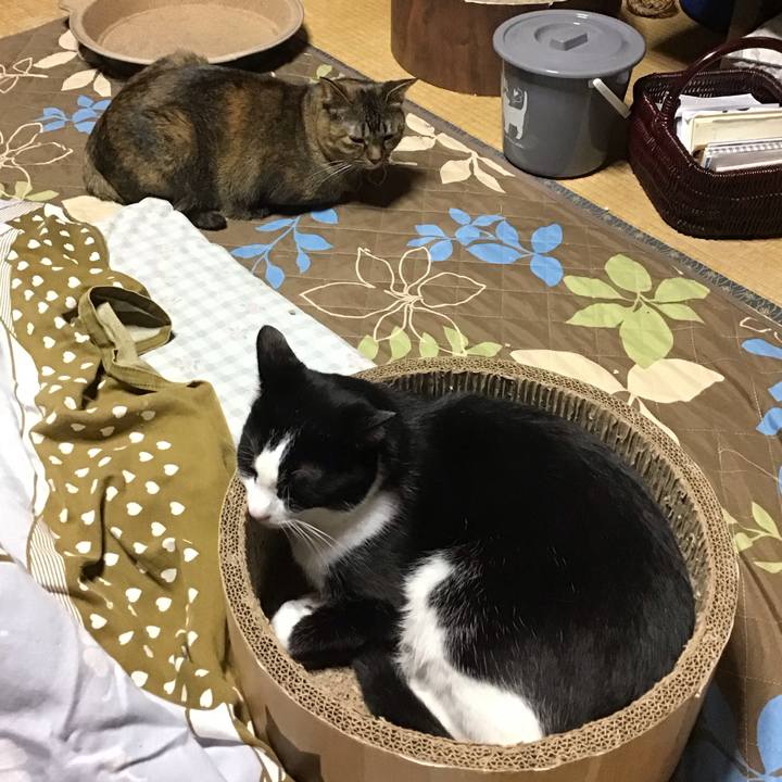 049b8e37 f208 45fe afe4 18a09a00c025 1732008505851