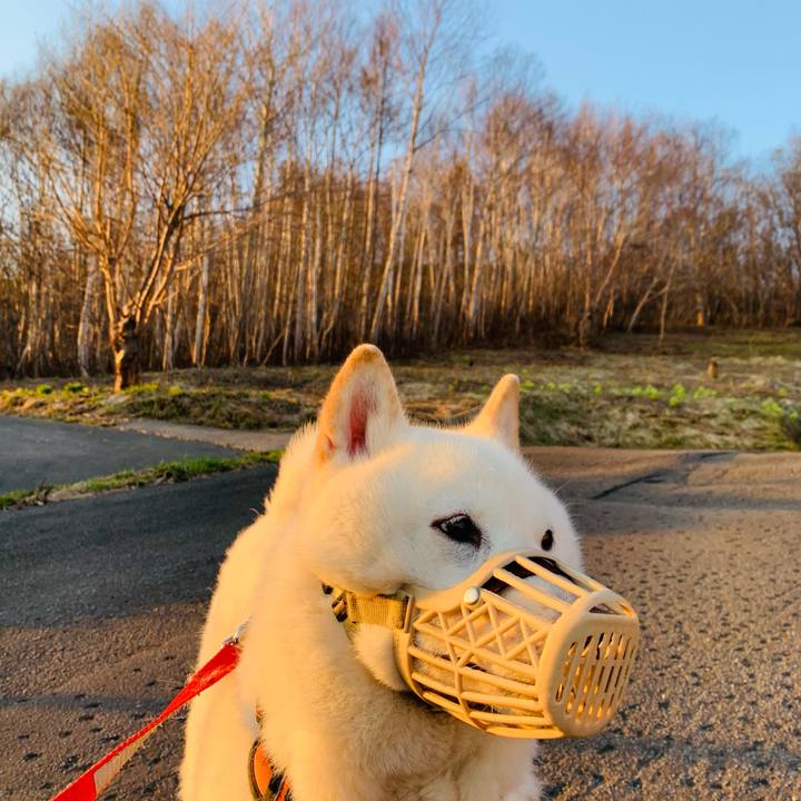 049ba05f 6948 49cd acaf e169208c857e 1618950844208