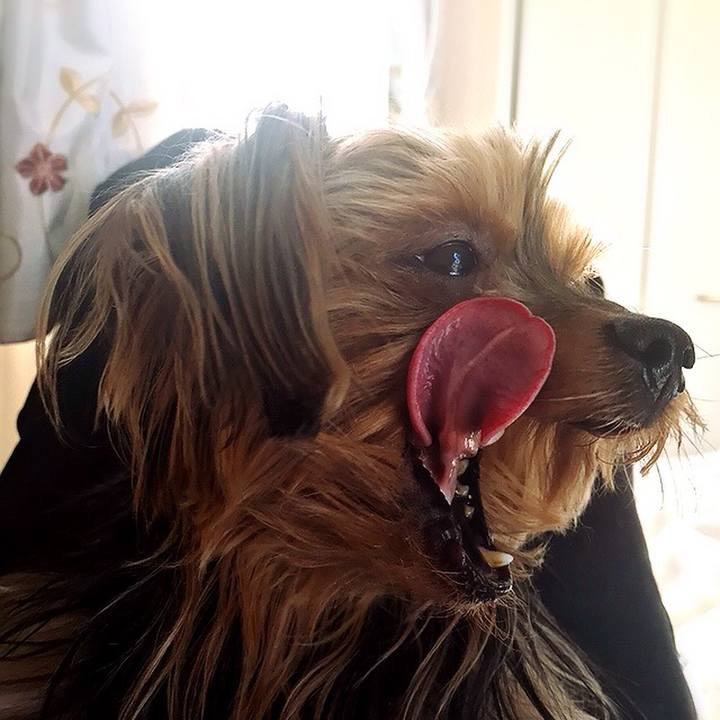 049ba8d7 1624 496a a19e c374cb546d63 1517994483719