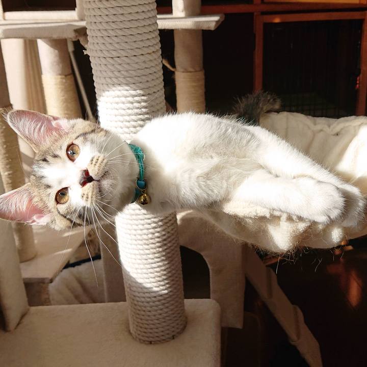 049bbe61 97f2 4a2a 8fac 790de3069cb3 1545266995210