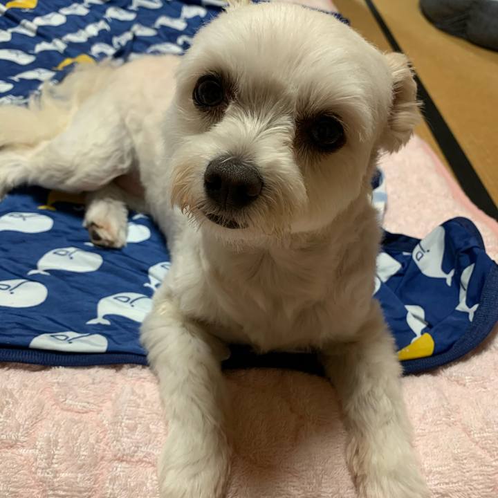 049c118c 0267 4419 8d57 5f48521d3148 1592216486333