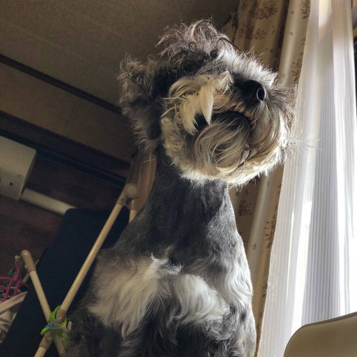 049c3d4b 5f30 42e2 9108 83584ad09f06 1527942518835