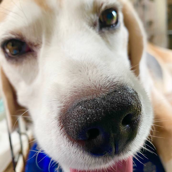 049cb87f b7a5 43fd 98b0 3e694efbdf6a 1595563013265