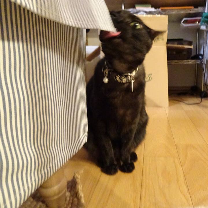 049d22c7 79b3 4a4c ba54 01e2cd6a21df 1524108095432