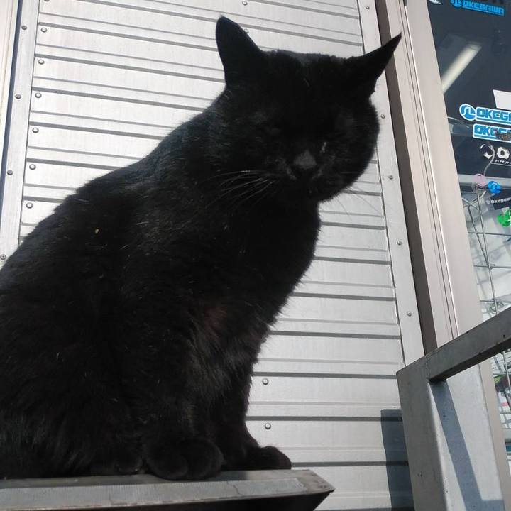 049d725a f26d 4c32 8880 6f480ae60484 1616118558919