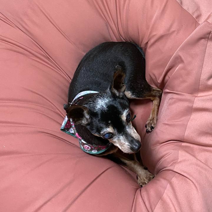 049d76cc eba7 4c86 b68a 3e8ae9f06aa6 1580566134012