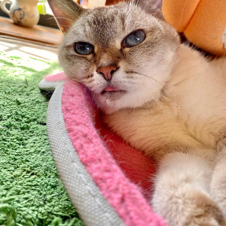 049d937f 9e4c 4e3d 9197 6d9027c6e6a2 1598666088102