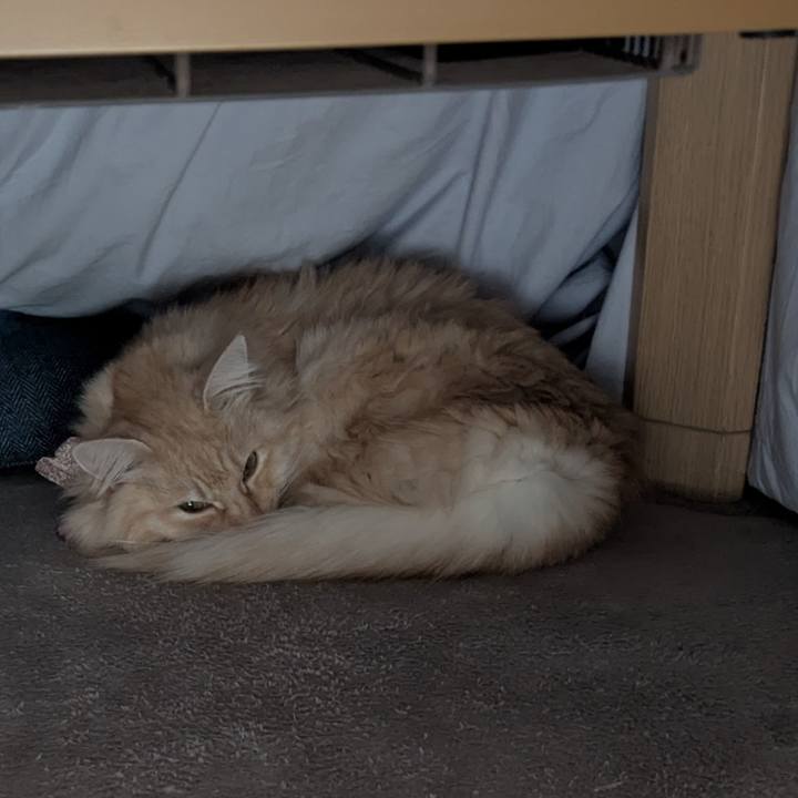 049d9e83 af1a 4eef b53f af5f2651b807 1764554960516