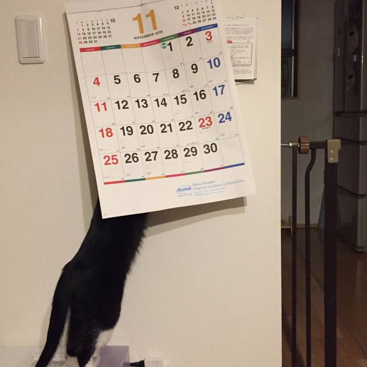 049da7bb 1749 498d aa0d c30319e4bb99 1543500022442