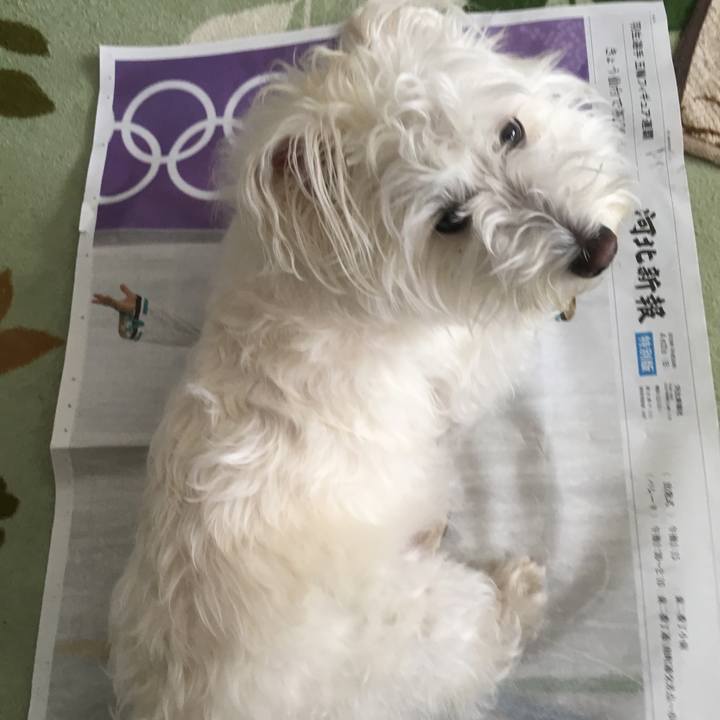 049db520 b3f7 4efd 9ea6 6cbd74aa2fd4 1524366465453