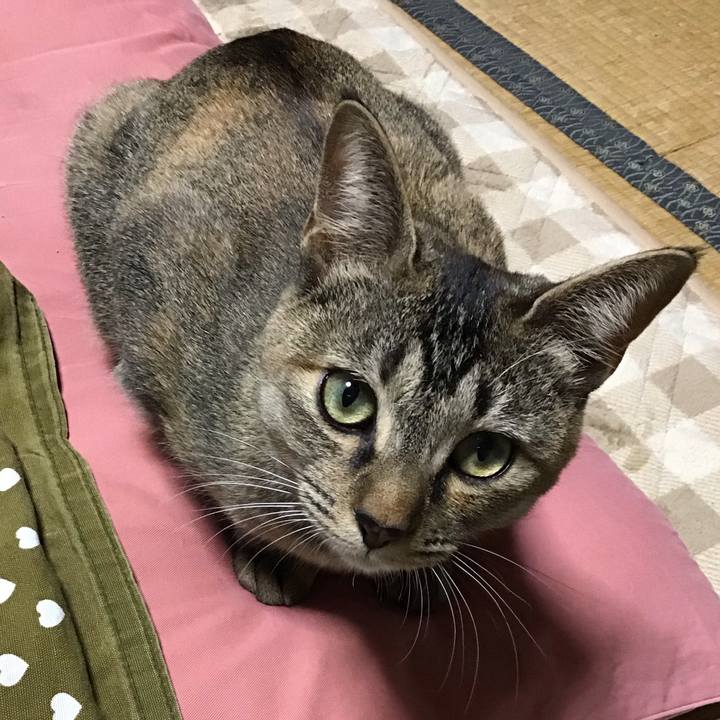 049ddf03 8f92 4f1b 8ec6 8dab6f93cebb 1579082765199