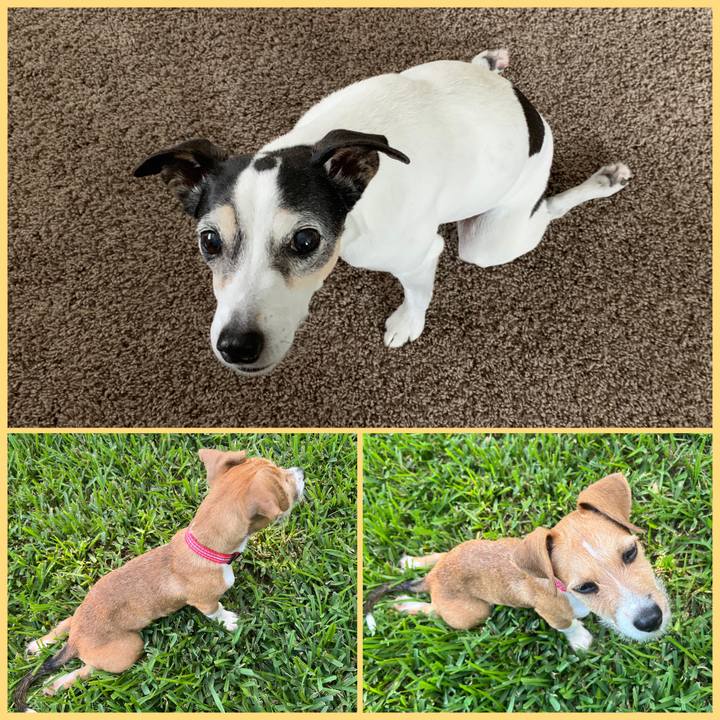 049de022 3608 4f26 8be3 4d7d5f97596b 1662847343108