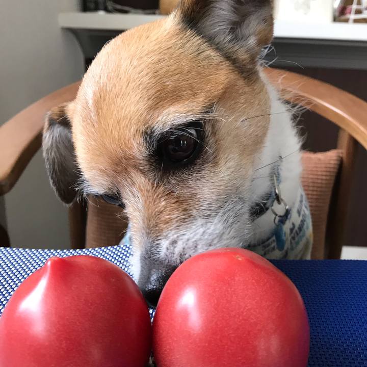 049de935 0a3c 4627 bfba cf9fdf192776 1555209378802