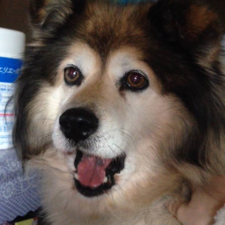 049e3348 4342 4f01 8df7 01d8f0bf6b45 1602236293111