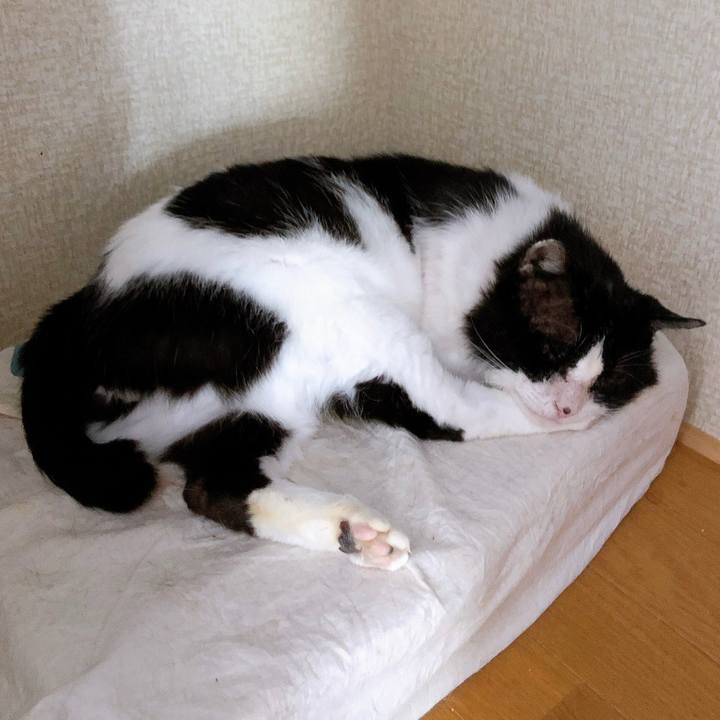 049e5b40 b040 4bcf 9f8a 501b33d96dca 1619185777818