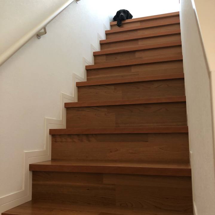 049e5cc3 8965 496f 9398 bd9211776bbe 1570693467361