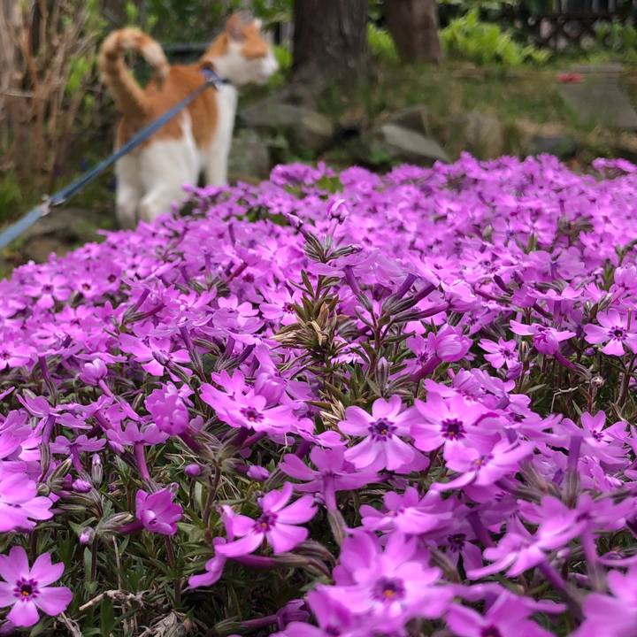 049e613d 27b1 4007 8bda 42fdb039b2dd 1556075626686