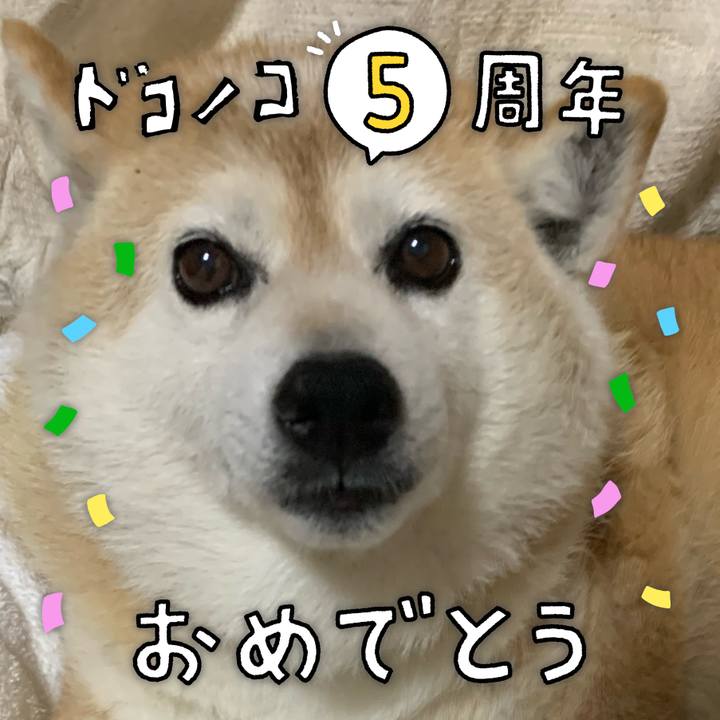 049e67bb 0b96 4275 bc8e 13737f577c28 1622896201304