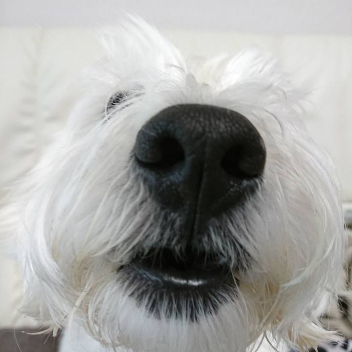 049e9f79 7dd8 4061 a57e c55ea615e570 1523893918196