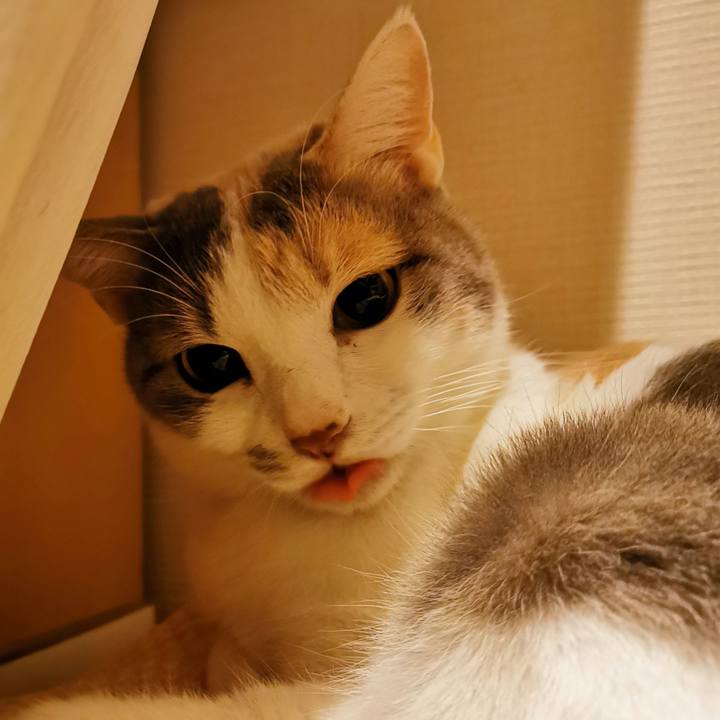 049ee7ec 6615 4a07 96b0 cc47b9572a7c 1642649264289