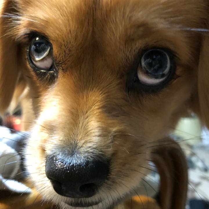 049eea13 c1f9 481b 9f30 3aba5975bdd5 1513029364683