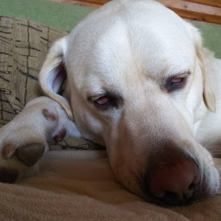 049ef7cc 6581 4162 9d62 c50a6c979991 1524052708309