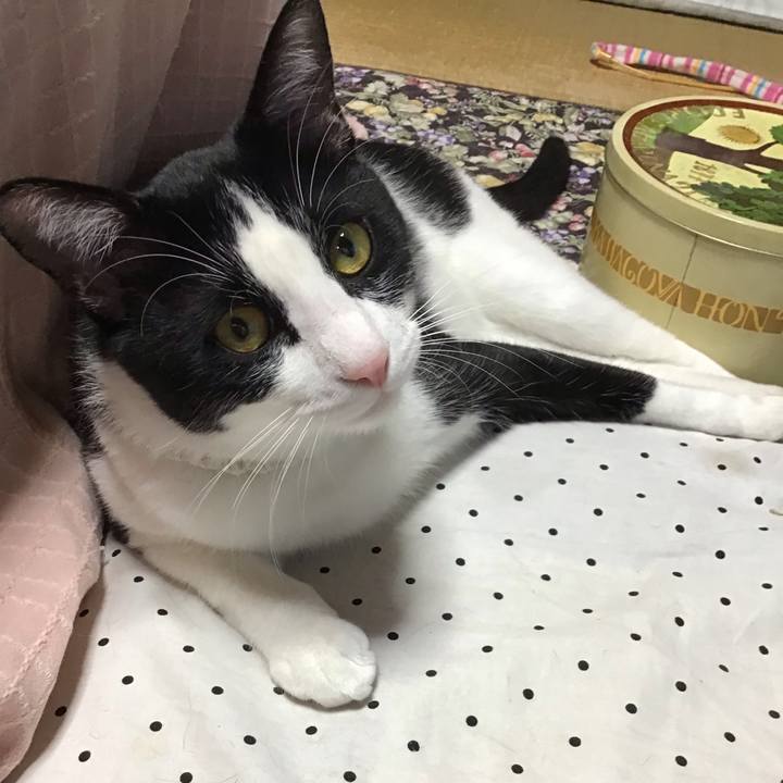 049ef847 7ecc 48f3 8bef 1d1cb507201b 1654673608855