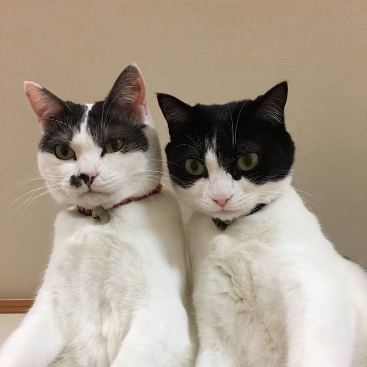 049f1f0c cb5f 4f06 9ae9 b0f35d15a471 1508516134969