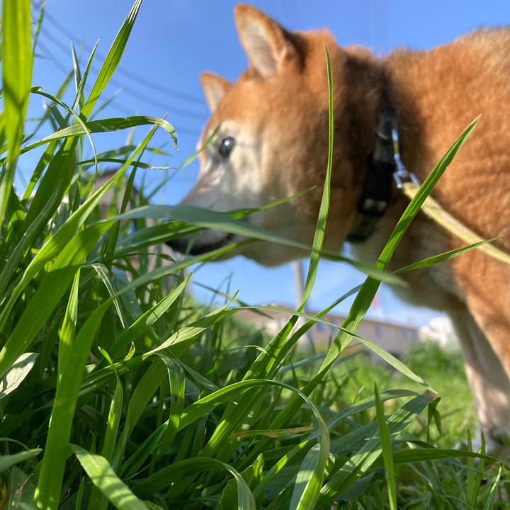 049f3a47 cd6b 4272 9a65 3b89bfea6e33 1712967932547