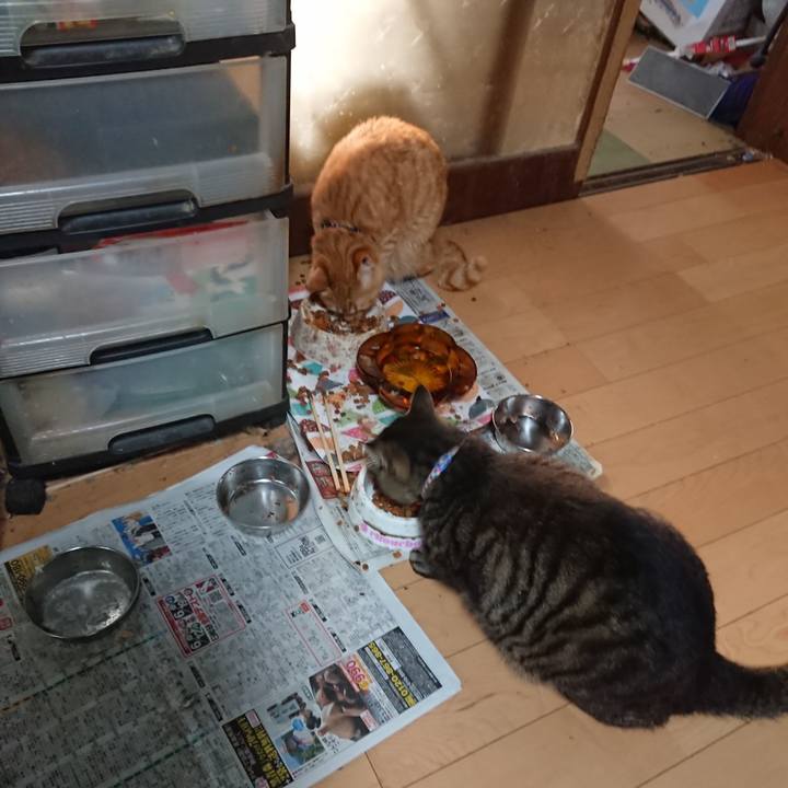 049f6589 73e1 4a86 ad8e 69f133fa76de 1656538972142